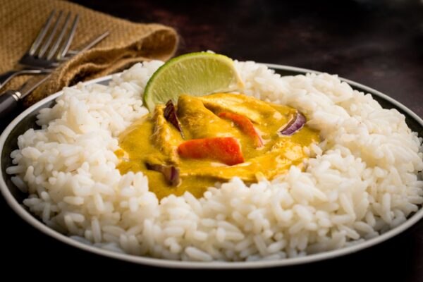 Chicken and Mango Curry and Rice